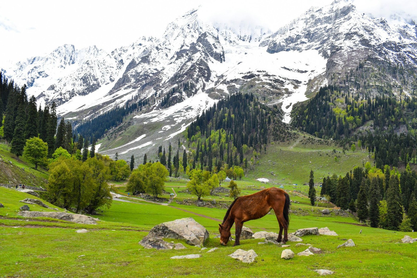 3-Day Express Neelum Valley & Keran Tour - Photo 1